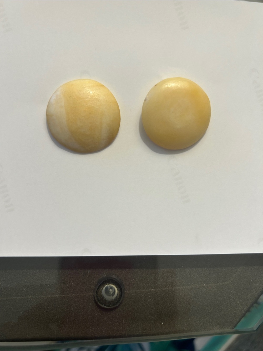 Cream/Tan  Button Earrings
